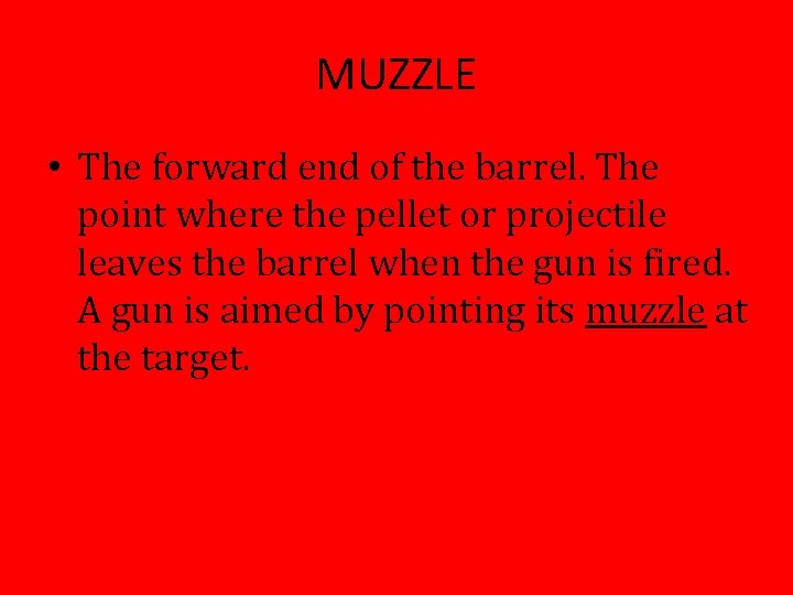 MUZZLE • The forward end of the barrel. The point where the pellet or