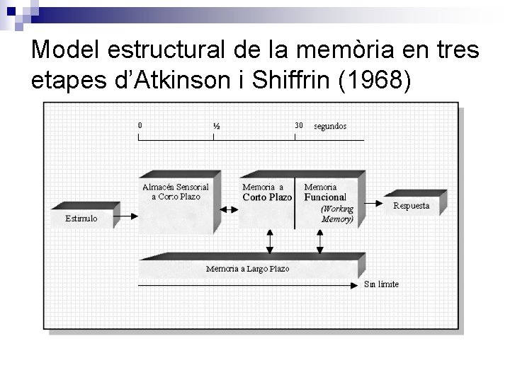 Model estructural de la memòria en tres etapes d’Atkinson i Shiffrin (1968) 