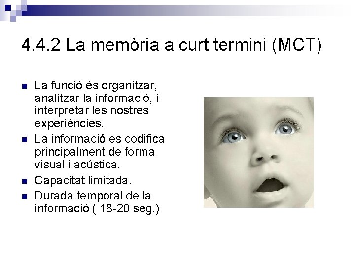 4. 4. 2 La memòria a curt termini (MCT) n n La funció és
