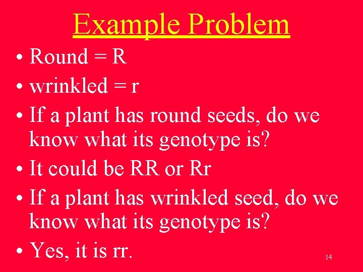 Example Problem • Round = R • wrinkled = r • If a plant