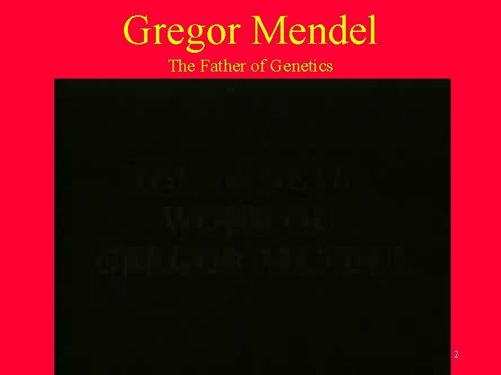 Gregor Mendel The Father of Genetics 2 