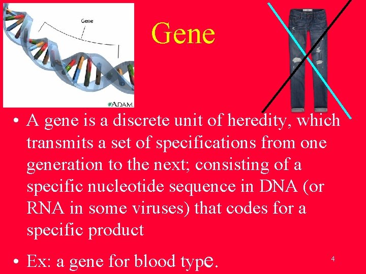 Gene • A gene is a discrete unit of heredity, which transmits a set