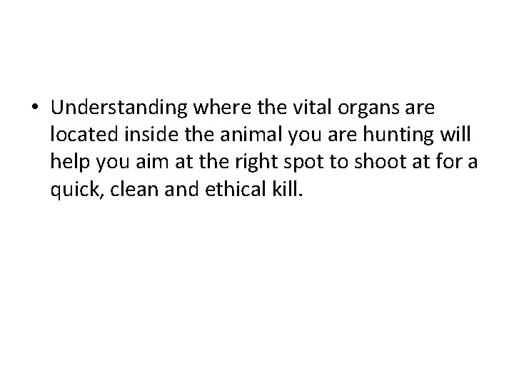  • Understanding where the vital organs are located inside the animal you are