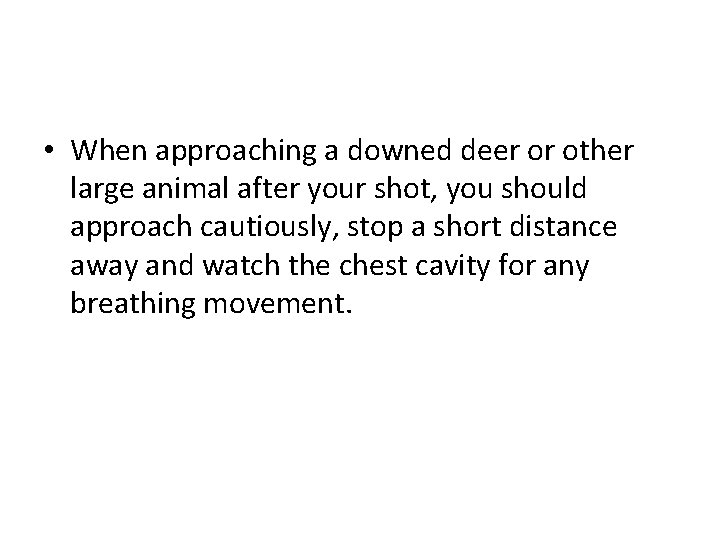  • When approaching a downed deer or other large animal after your shot,