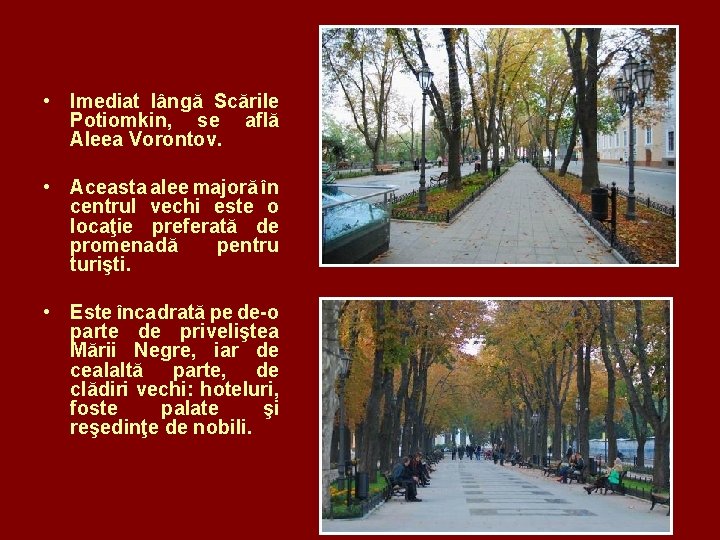  • Imediat lângă Scările Potiomkin, se află Aleea Vorontov. • Aceasta alee majoră