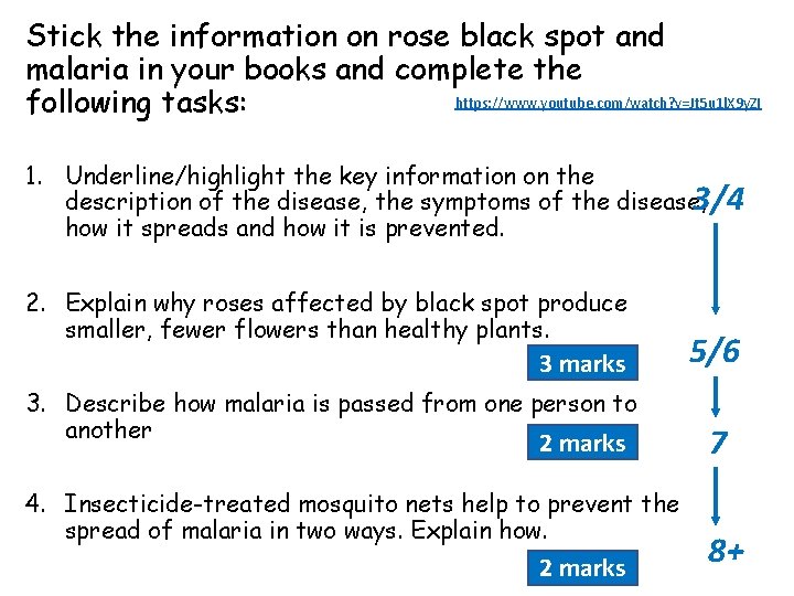 Stick the information on rose black spot and malaria in your books and complete