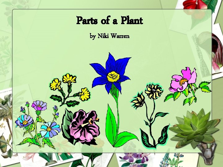 Parts of a Plant by Niki Warren 