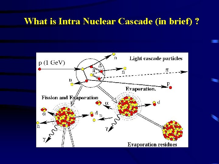 What is Intra Nuclear Cascade (in brief) ? 