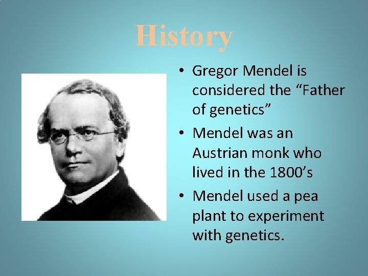 History • Gregor Mendel is considered the “Father of genetics” • Mendel was an