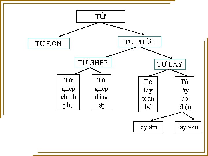 TỪ TỪ PHỨC TỪ ĐƠN TỪ GHÉP Từ ghép chính phụ Từ ghép đẳng