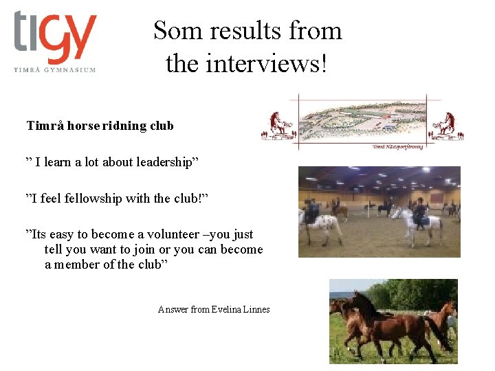 Som results from the interviews! Timrå horse ridning club ” I learn a lot
