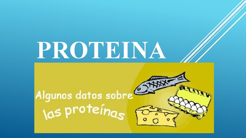 PROTEINA 