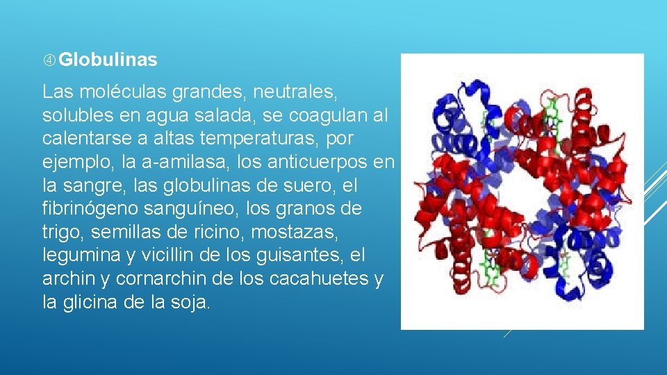  Globulinas Las moléculas grandes, neutrales, solubles en agua salada, se coagulan al calentarse