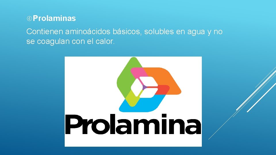  Prolaminas Contienen aminoácidos básicos, solubles en agua y no se coagulan con el