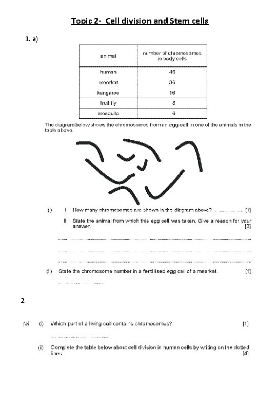 Topic 2 - Cell division and Stem cells 1. a) 2. 