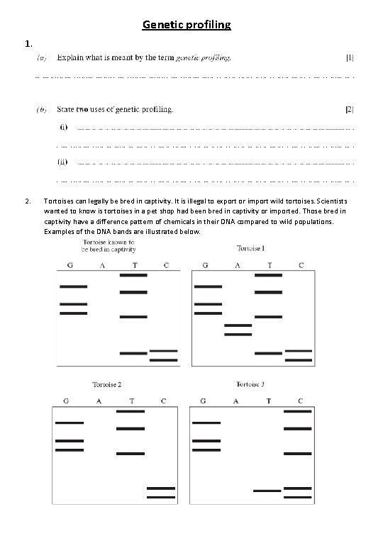 Genetic profiling 1. 2. Tortoises can legally be bred in captivity. It is illegal