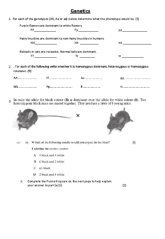 Genetics 1. For each of the genotypes (AA, Aa or aa) below determine what