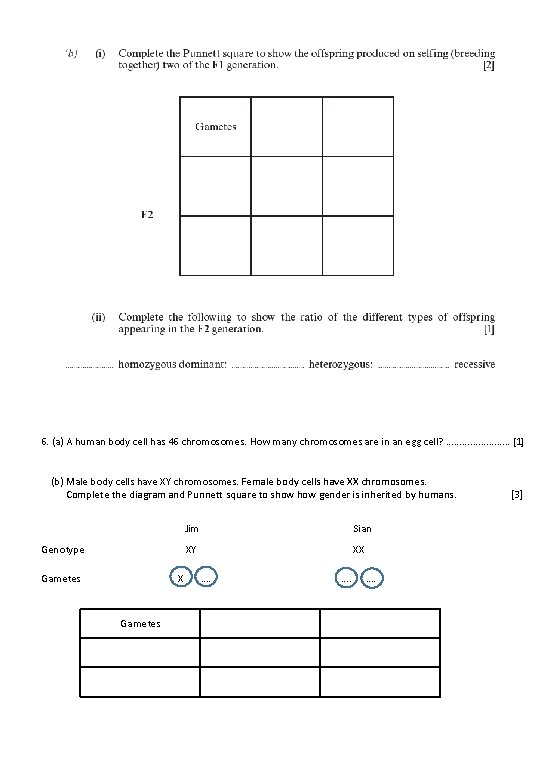6. (a) A human body cell has 46 chromosomes. How many chromosomes are in