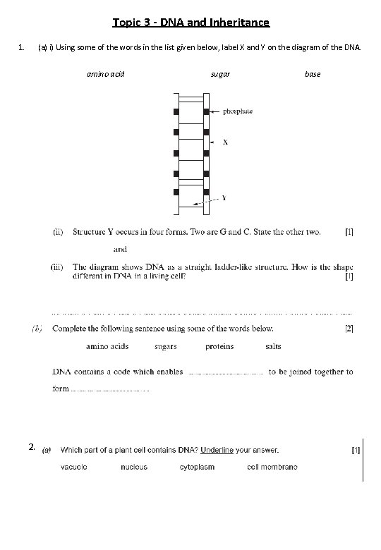 Topic 3 - DNA and Inheritance 1. (a) i) Using some of the words