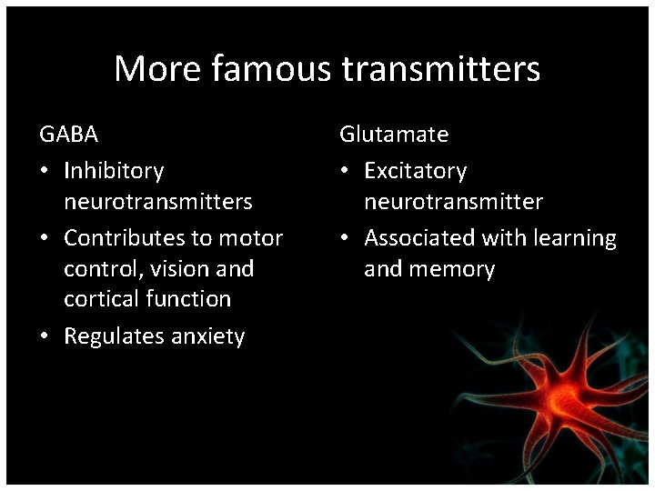 More famous transmitters GABA • Inhibitory neurotransmitters • Contributes to motor control, vision and