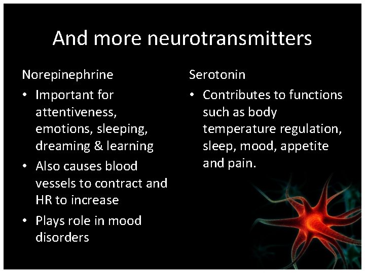 And more neurotransmitters Norepinephrine • Important for attentiveness, emotions, sleeping, dreaming & learning •