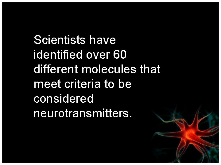 Scientists have identified over 60 different molecules that meet criteria to be considered neurotransmitters.