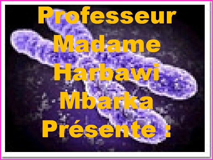 Professeur Madame Harbawi Mbarka Présente : 
