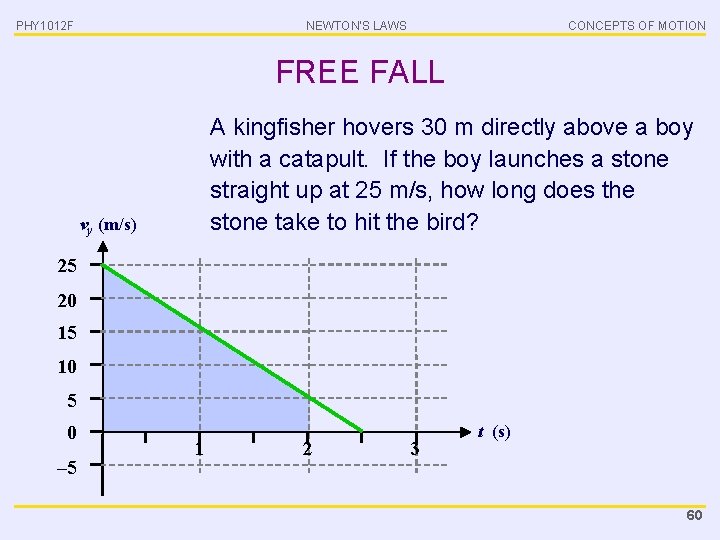 PHY 1012 F NEWTON’S LAWS CONCEPTS OF MOTION FREE FALL A kingfisher hovers 30