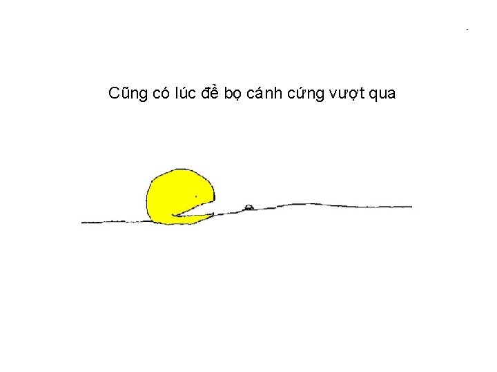 Cũng có lúc để bọ cánh cứng vượt qua 