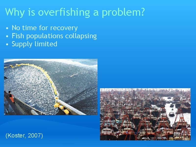 Why is overfishing a problem? • No time for recovery • Fish populations collapsing