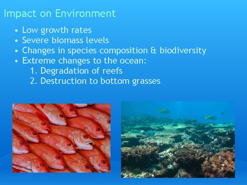 Impact on Environment • • Low growth rates Severe biomass levels Changes in species