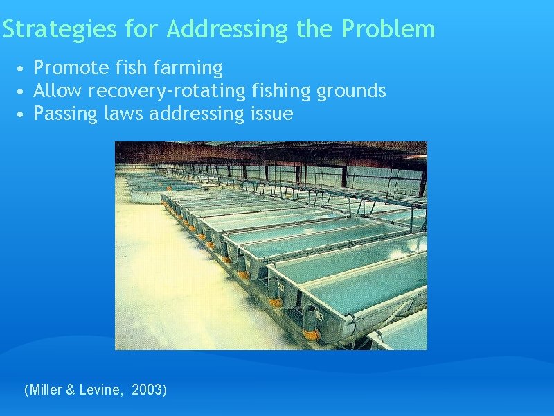 Strategies for Addressing the Problem • Promote fish farming • Allow recovery-rotating fishing grounds