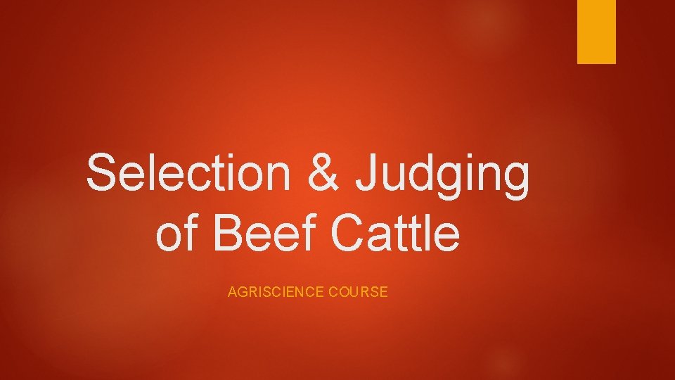 Selection & Judging of Beef Cattle AGRISCIENCE COURSE 