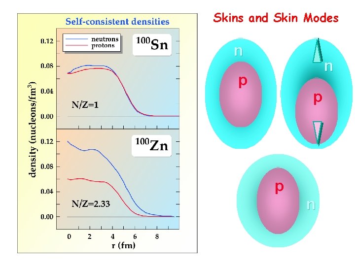 Skins and Skin Modes n n p p p n 