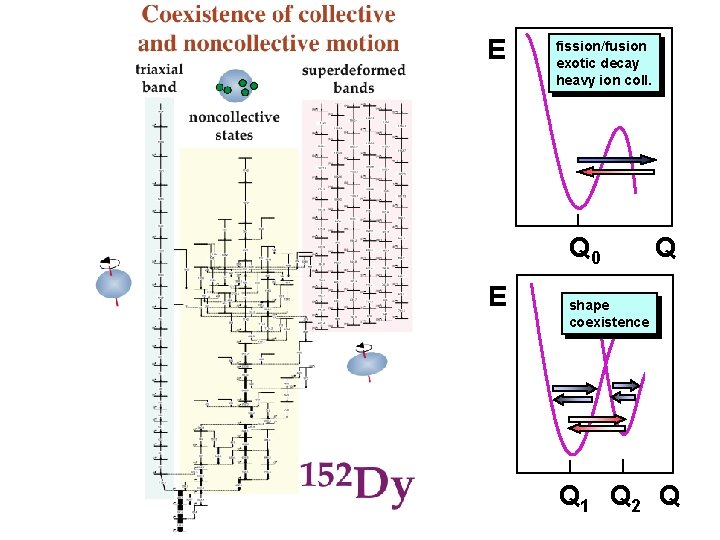 E fission/fusion exotic decay heavy ion coll. Q 0 E Q shape coexistence Q