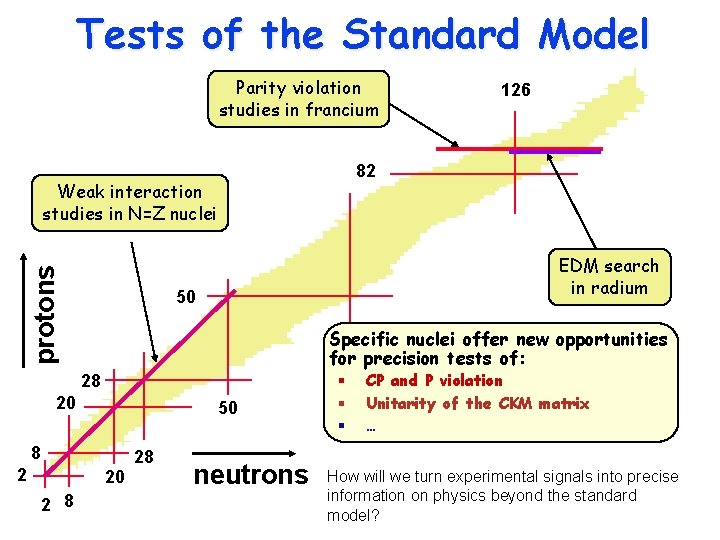 Tests of the Standard Model Parity violation studies in francium 82 protons Weak interaction