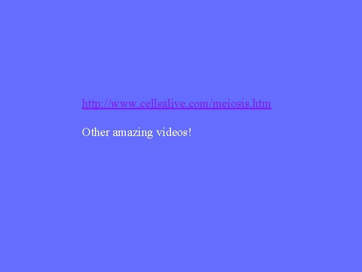 http: //www. cellsalive. com/meiosis. htm Other amazing videos! 