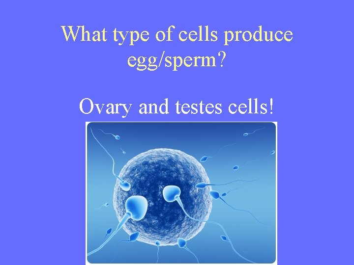 What type of cells produce egg/sperm? Ovary and testes cells! 