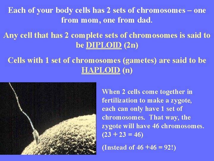 Each of your body cells has 2 sets of chromosomes – one from mom,