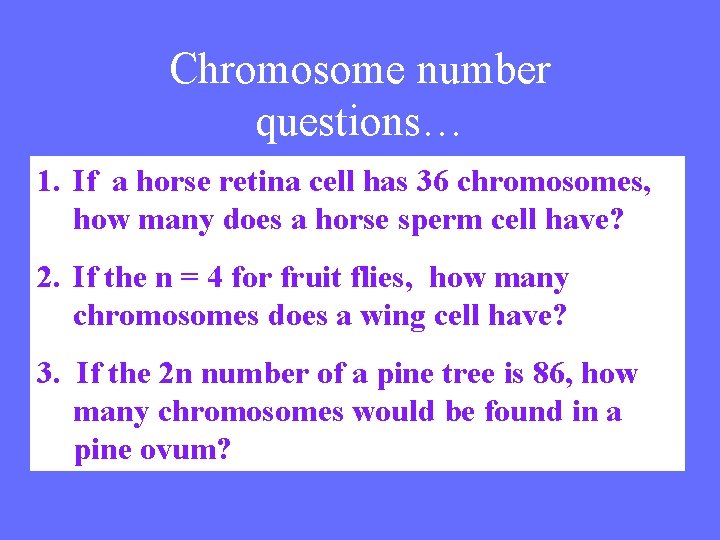 Chromosome number questions… 1. If a horse retina cell has 36 chromosomes, how many