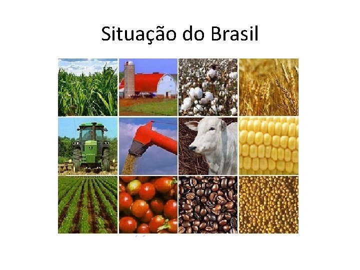 Situação do Brasil 