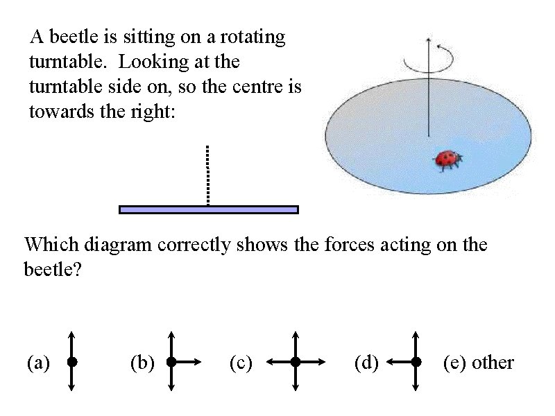 A beetle is sitting on a rotating turntable. Looking at the turntable side on,