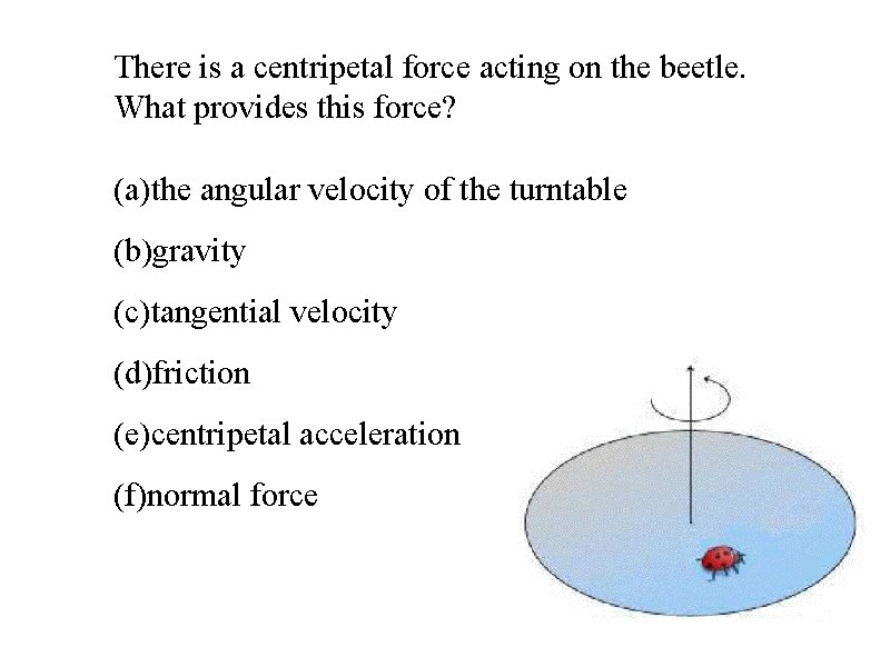 There is a centripetal force acting on the beetle. What provides this force? (a)the