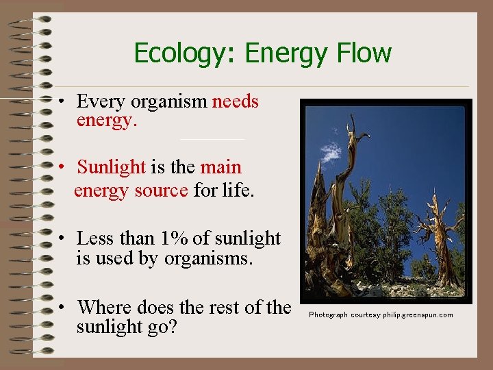 Ecology: Energy Flow • Every organism needs energy. • Sunlight is the main energy