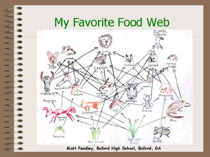 My Favorite Food Web Matt Pendley, Buford High School, Buford, GA 