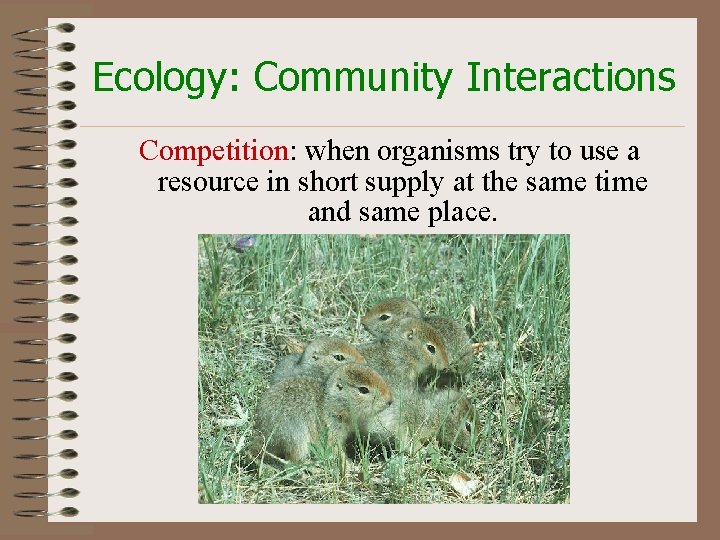 Ecology: Community Interactions Competition: when organisms try to use a resource in short supply