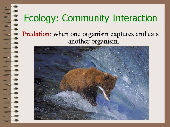 Ecology: Community Interaction Predation: when one organism captures and eats another organism. 