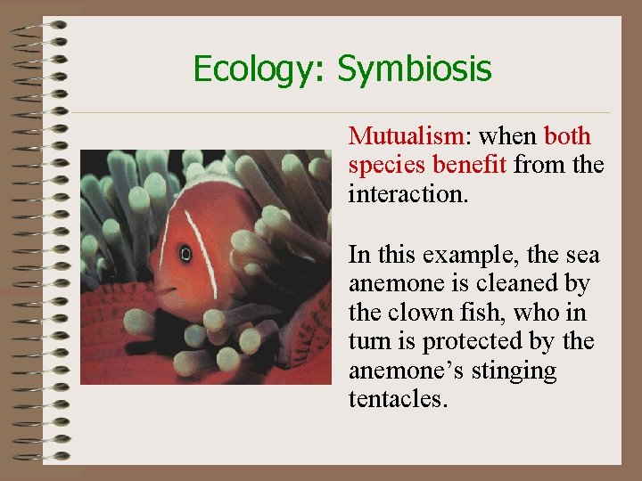 Ecology: Symbiosis Mutualism: when both species benefit from the interaction. In this example, the