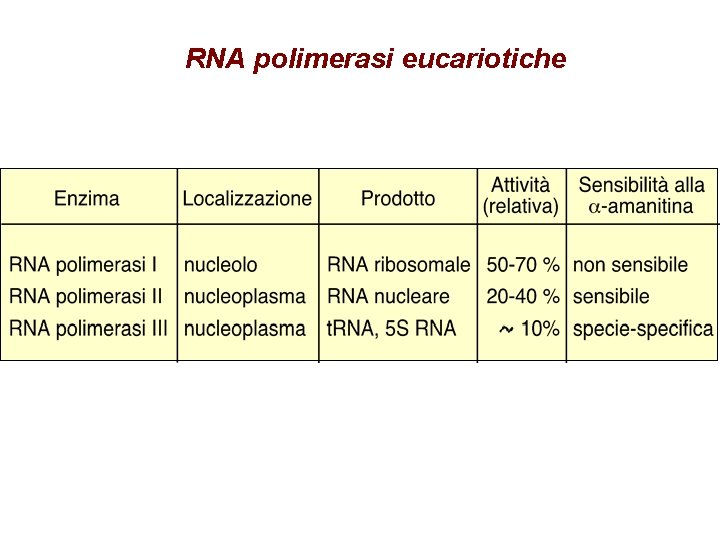 RNA polimerasi eucariotiche 