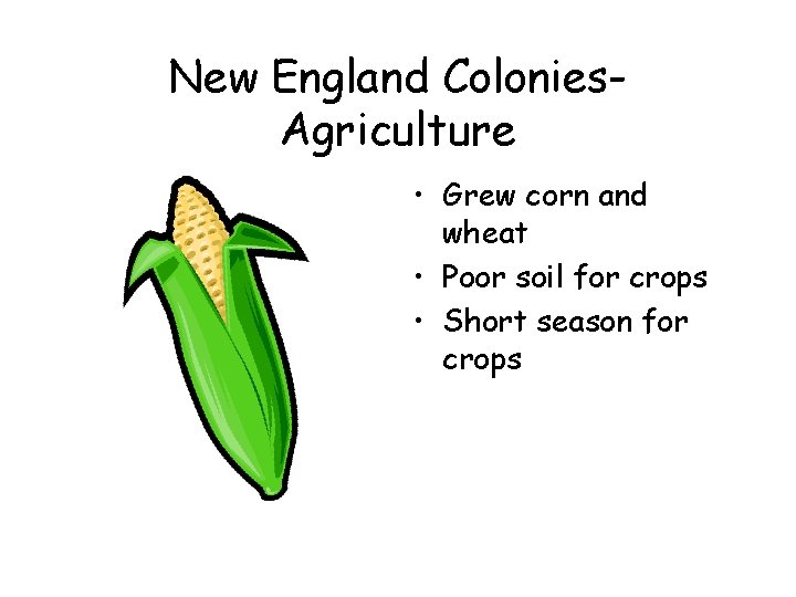 New England Colonies. Agriculture • Grew corn and wheat • Poor soil for crops New England Colonies. Agriculture • Grew corn and wheat • Poor soil for crops